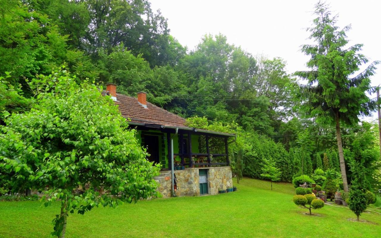 Etno-Kuca "Leka" Klisura Villa Despotovac Exterior photo