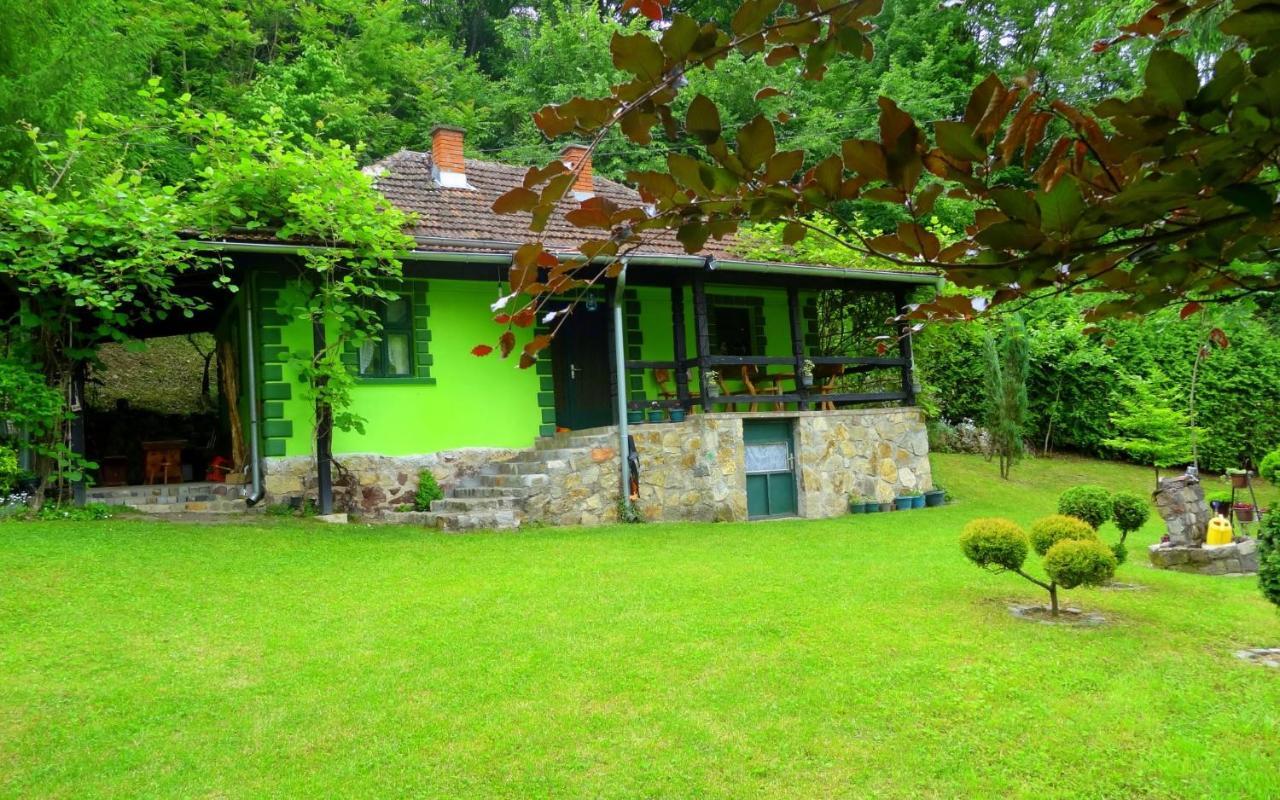 Etno-Kuca "Leka" Klisura Villa Despotovac Exterior photo