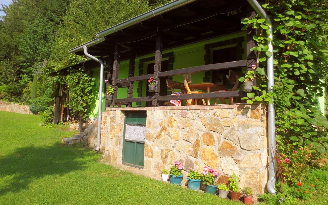 Etno-Kuca "Leka" Klisura Villa Despotovac Exterior photo